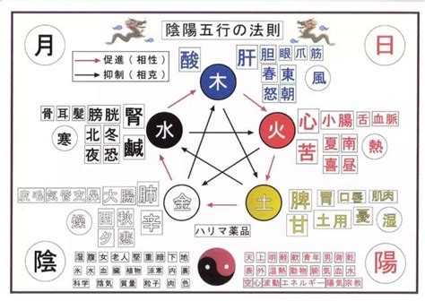 五行味道|“五味”的自然属性及与“五行”的关系